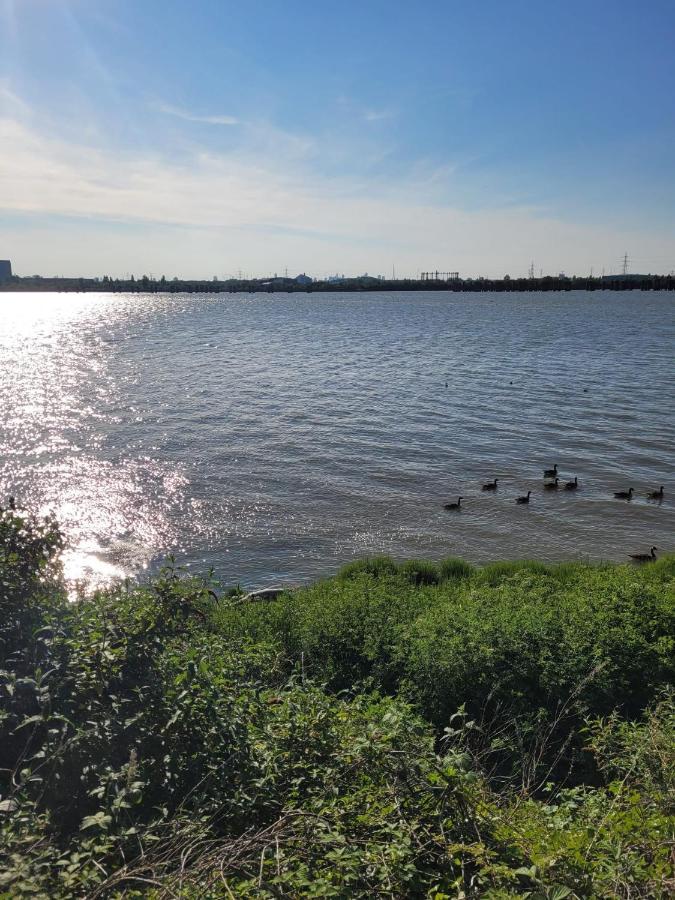 Fantastic Studio, Private Bathroom And Mini Kitchen. Thamesmead  المظهر الخارجي الصورة